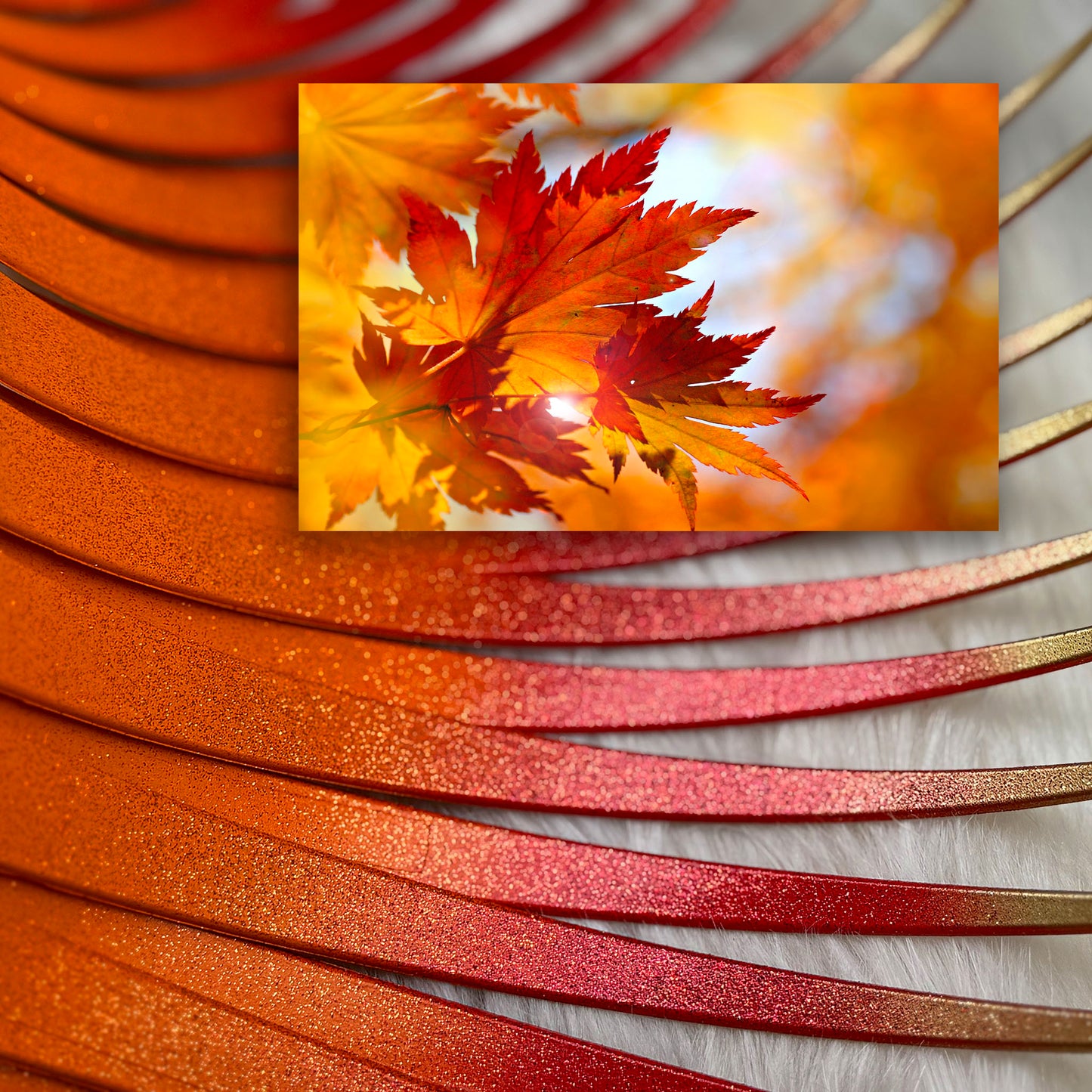 SPARKLING FALL in LOVE CarLashes®