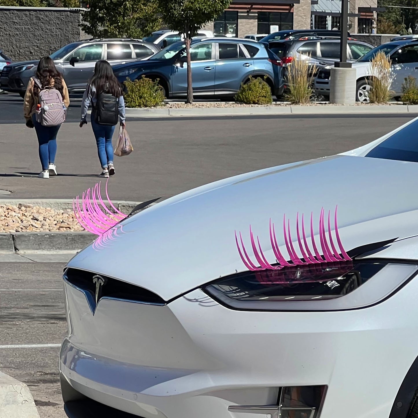 CarLashes® Classic Universal - PINK