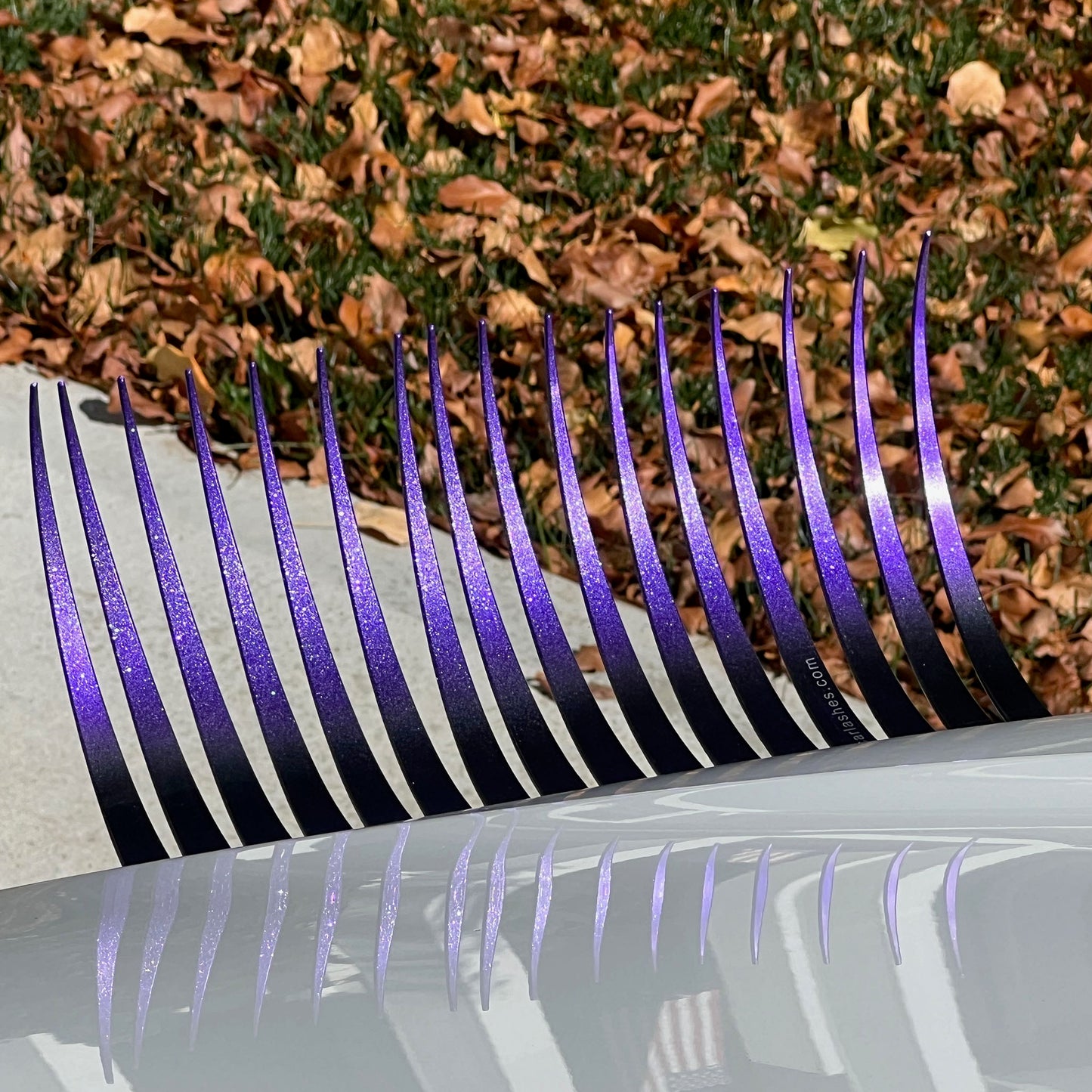 SPOOKY Purple-Black CarLashes