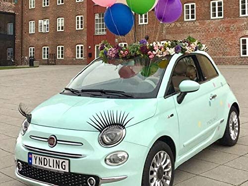 Carlashes for Fiat 500 (2007-present)