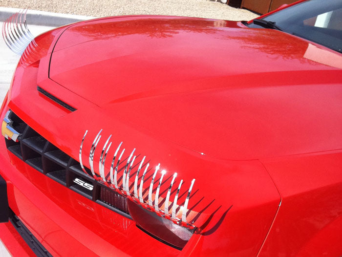 CHROME SILVER CarLashes®