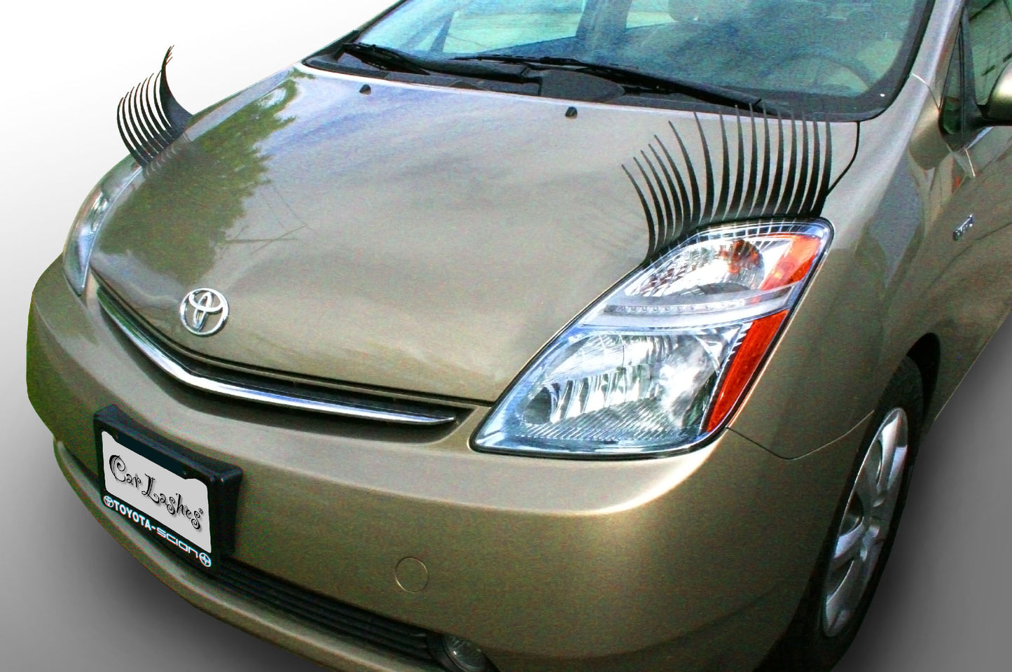 CarLashes® for Toyota Prius (1997-2009)