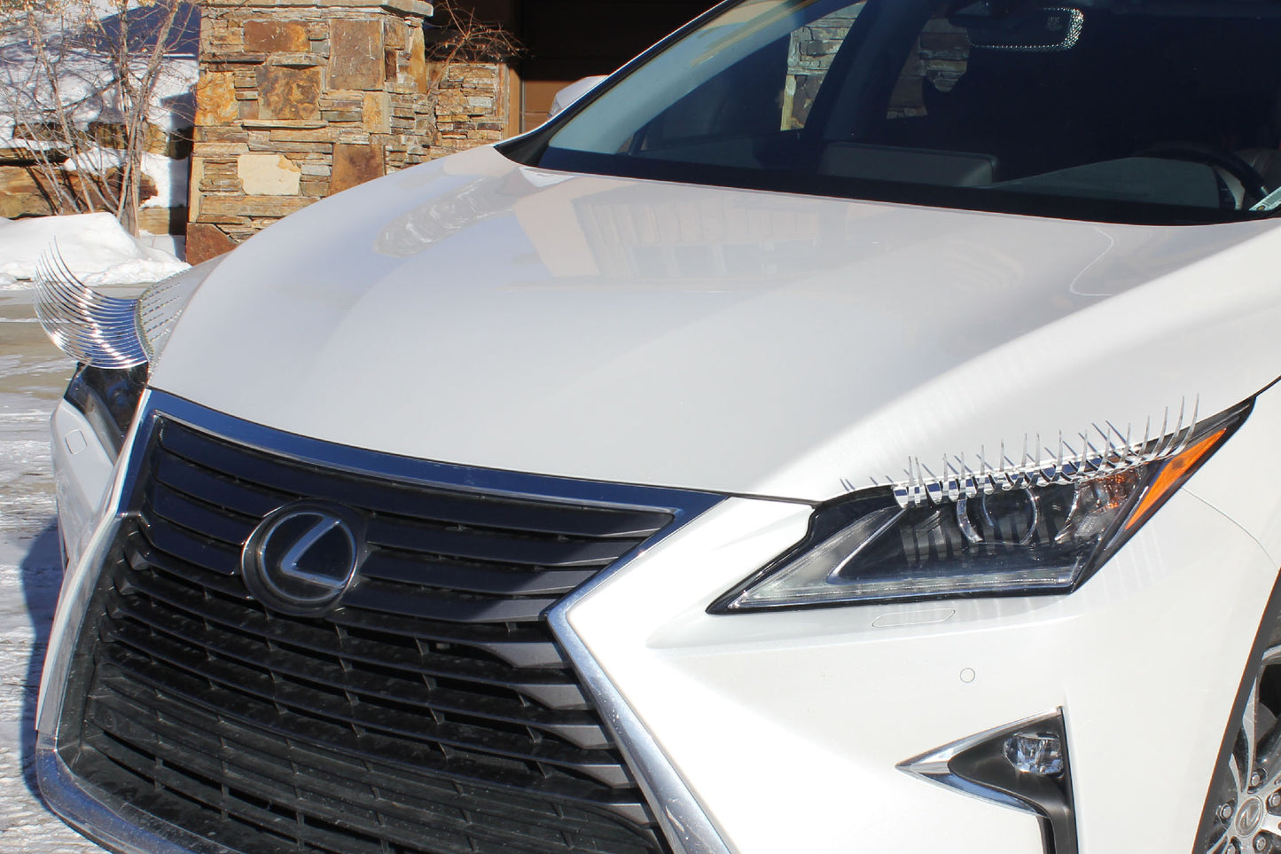 CHROME SILVER CarLashes®