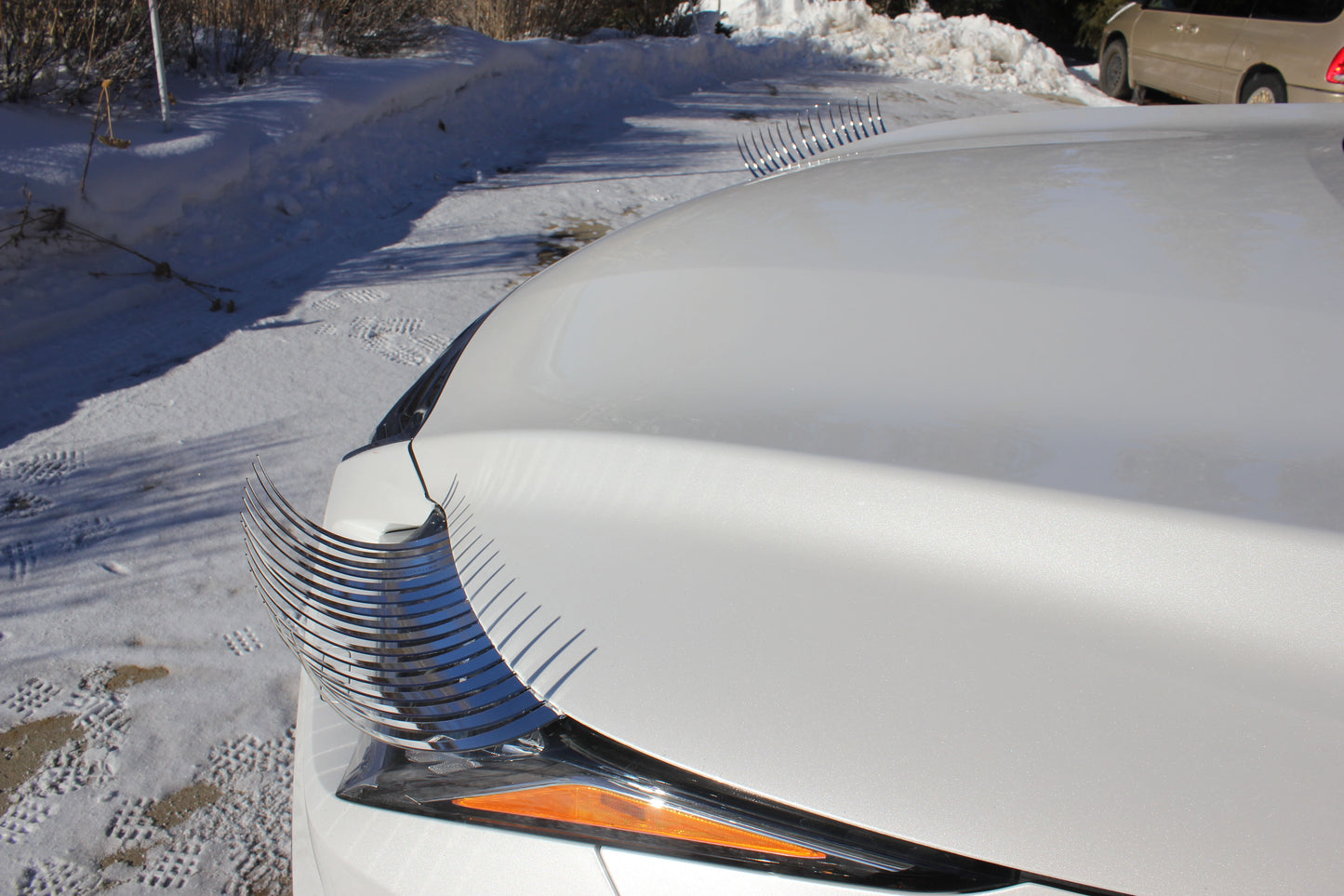 CHROME SILVER CarLashes®