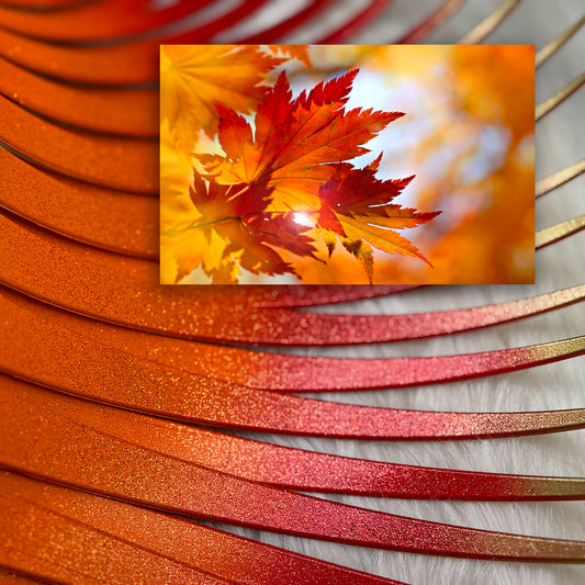 SPARKLING FALL in LOVE CarLashes®