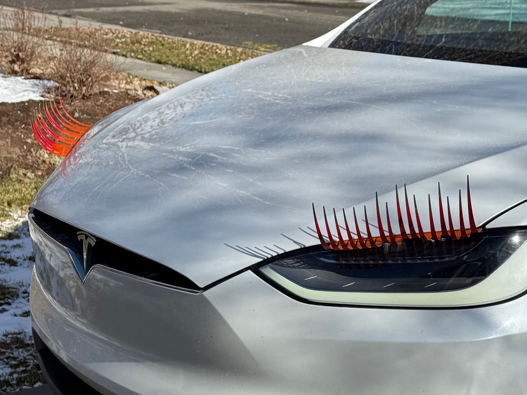 CarLashes headlight eyelashes for your car