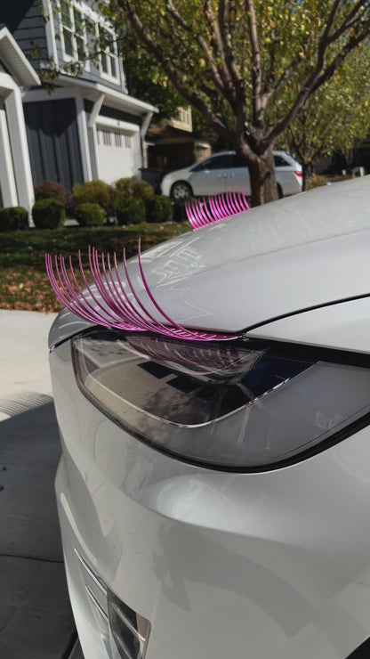 FULL SPARKLE PINK CarLashes