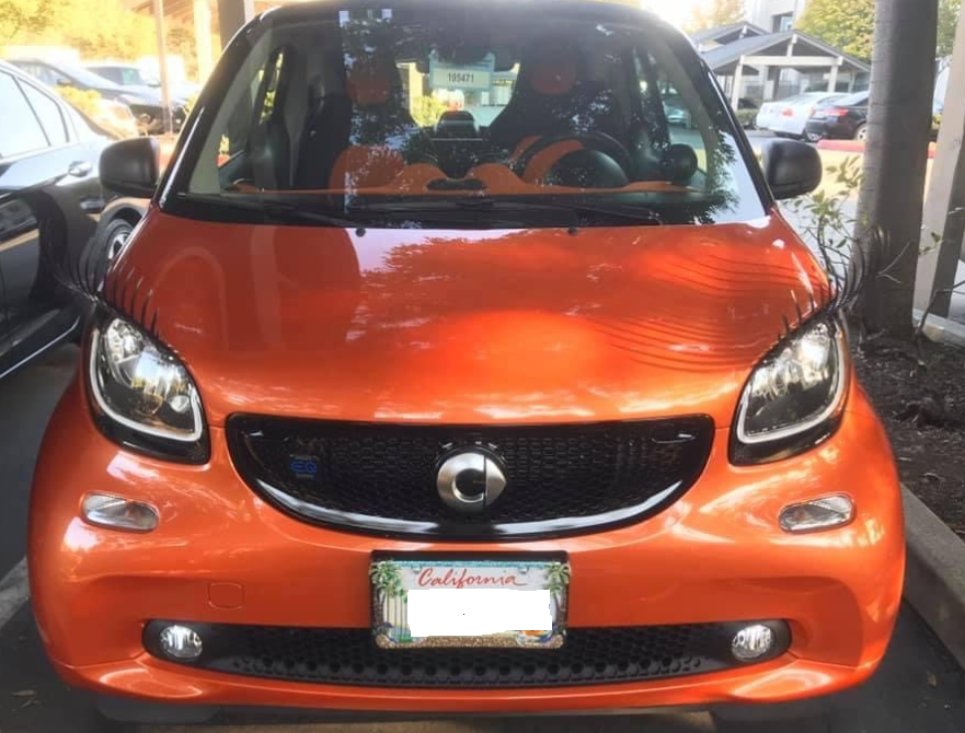 Carlashes® for Smart fortwo (2007-present)