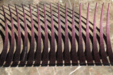 COMPLETE SET - Sparkle CarLashes® -  with PINK or CLEAR Eyeliner