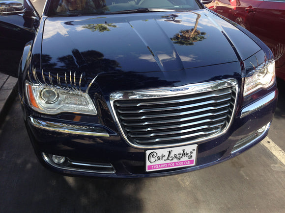 CHROME SILVER CarLashes®