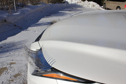 CHROME SILVER CarLashes®
