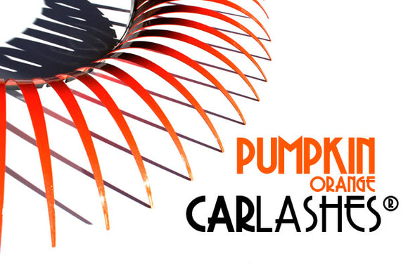 PUMPKIN Orange CarLashes®